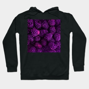 Fresh Delicious Blackberries in Purple Hoodie
